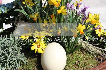 济南市历城区债务律师收费标准 济南市历城区债务律师收费标准