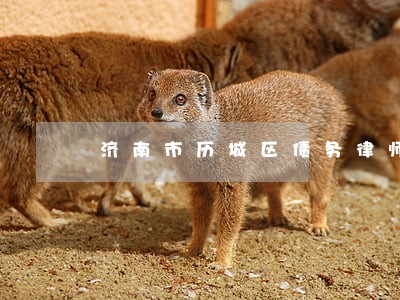 济南市历城区债务律师网站 济南市历城区债务律师网站