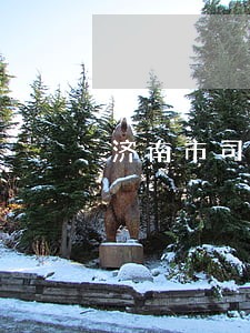 济南市司法局局长电话 济南市司法局局长电话