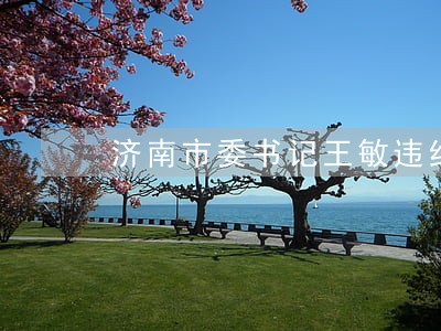 济南市委书记王敏违纪违法事实