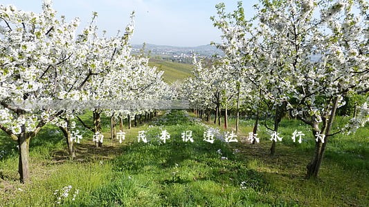 济南市民举报违法取水行为