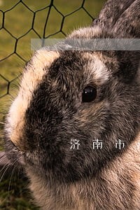 济南市离婚律师网 济南市离婚律师网
