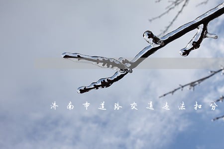 济南市道路交通违法扣分罚款规定