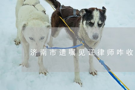 济南市遗嘱见证律师咋收费 济南市遗嘱见证律师咋收费