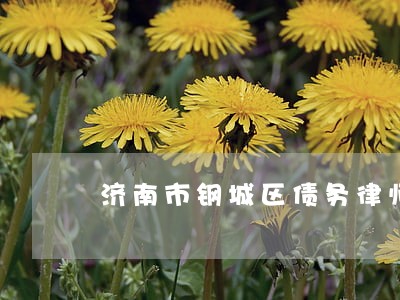济南市钢城区债务律师 济南市钢城区债务律师