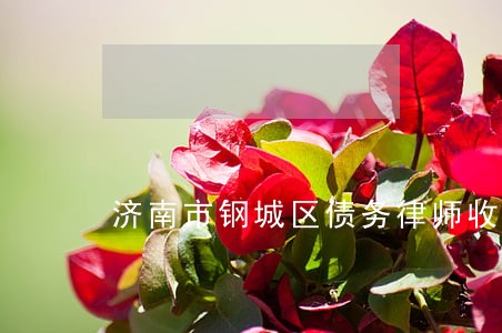 济南市钢城区债务律师收费 济南市钢城区债务律师收费