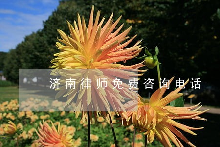 济南律师免费咨询电话 济南律师免费咨询电话