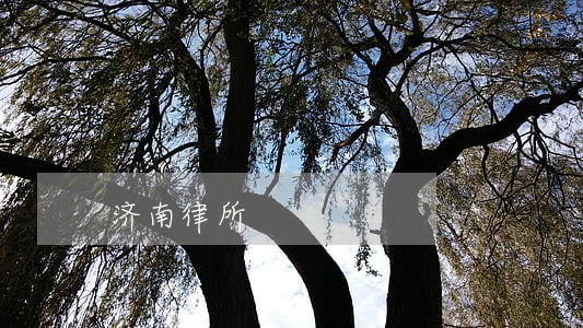 济南律所 济南律所