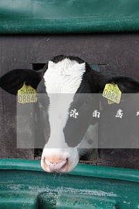 济南房地产律师收费标准 济南房地产律师收费标准