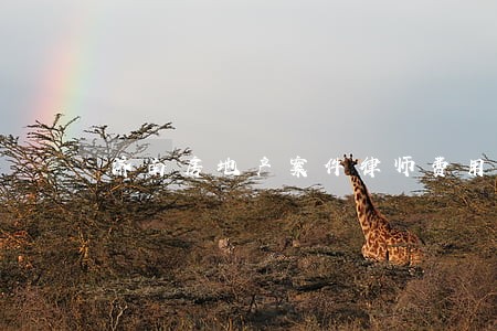 济南房地产案件律师费用 济南房地产案件律师费用