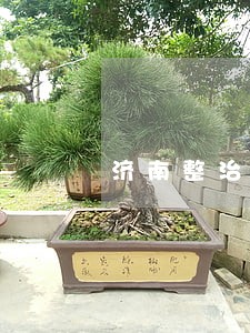 济南整治违法违章