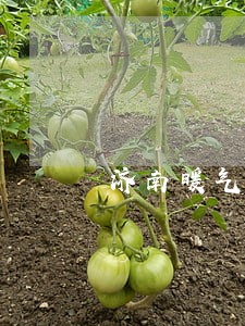 济南暖气没报停逾期收费标准 济南暖气没报停逾期收费标准