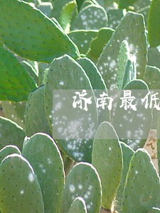 济南最低套型面积保障诉讼 济南最低套型面积保障诉讼