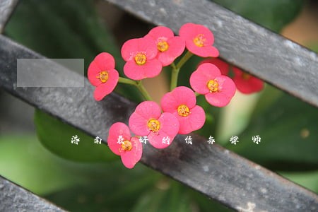 济南最好的债务律师 济南最好的债务律师