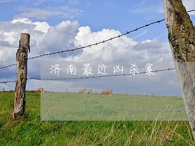 济南最近凶杀案 济南最近凶杀案