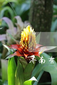 济南有名经济债务律师咨询电话 济南有名经济债务律师咨询电话