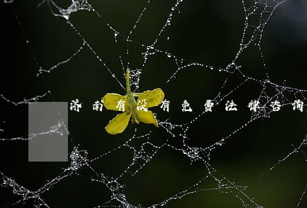 济南有没有免费法律咨询 济南有没有免费法律咨询