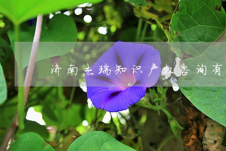 济南杰瑞知识产权咨询有限公司 济南杰瑞知识产权咨询有限公司