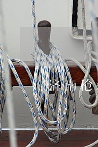 济南枪杀大案 济南枪杀大案