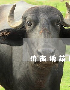 济南槐荫区吴家堡街道律师排行榜 济南槐荫区吴家堡街道律师排行榜