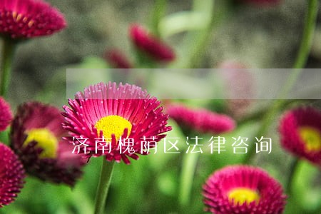 济南槐荫区法律咨询 济南槐荫区法律咨询