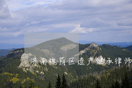 济南槐荫区遗产继承律师在线咨询 济南槐荫区遗产继承律师在线咨询