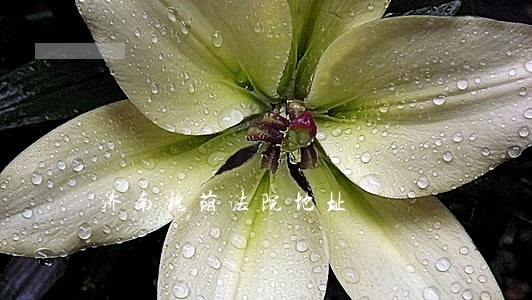 济南槐荫法院地址 济南槐荫法院地址