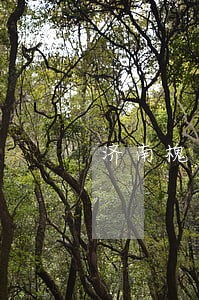 济南槐荫法院失信人员查找 济南槐荫法院失信人员查找