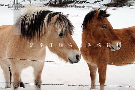 济南正规合同纠纷律师 济南正规合同纠纷律师