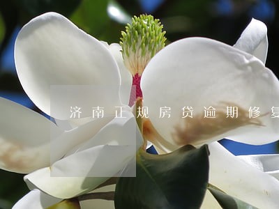 济南正规房贷逾期修复电话 济南正规房贷逾期修复电话