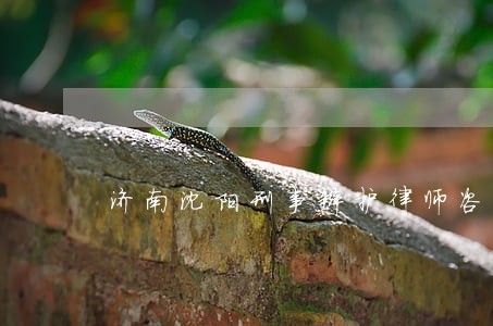 济南沈阳刑事辩护律师咨询 济南沈阳刑事辩护律师咨询