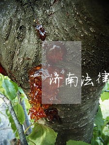 济南法律咨询 济南法律咨询