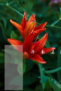济南法院拍卖7套房产 济南法院拍卖7套房产