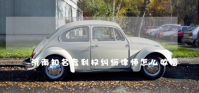 济南知名专利权纠纷律师怎么收费 济南知名专利权纠纷律师怎么收费