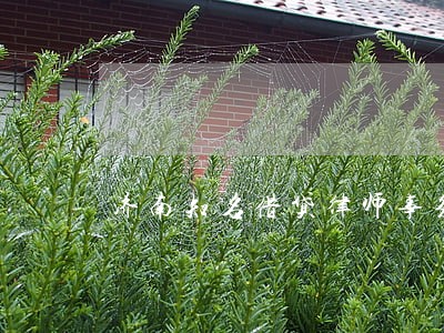 济南知名借贷律师事务所 济南知名借贷律师事务所