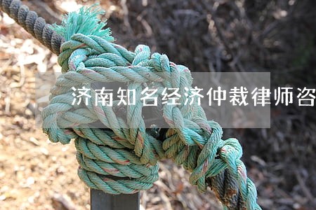 济南知名经济仲裁律师咨询 济南知名经济仲裁律师咨询