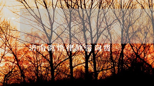济南离婚律师咨询费 济南离婚律师咨询费