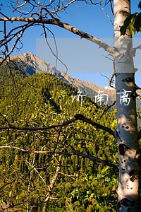 济南离婚律师哪里找 济南离婚律师哪里找