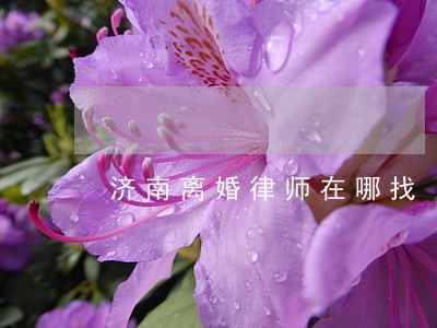 济南离婚律师在哪找 济南离婚律师在哪找