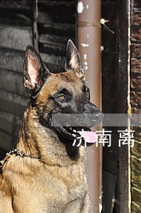 济南离婚律师好找吗 济南离婚律师好找吗