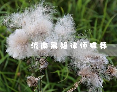 济南离婚律师推荐 济南离婚律师推荐
