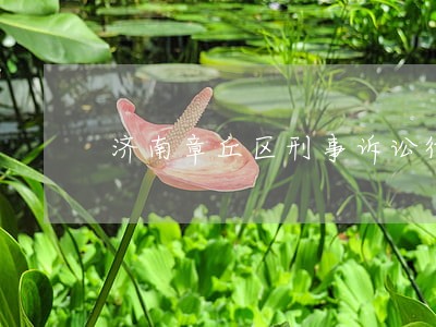 济南章丘区刑事诉讼律师收费标准 济南章丘区刑事诉讼律师收费标准