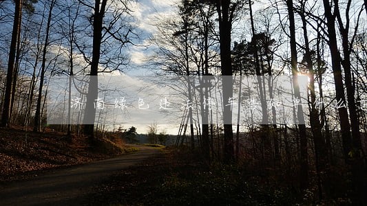 济南绿色违法停车告知单什么意思