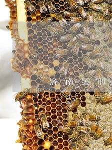 济南缓刑律师价格