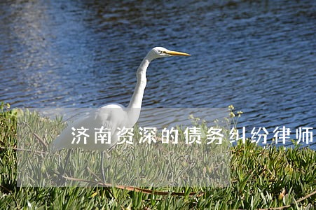 济南资深的债务纠纷律师服务 济南资深的债务纠纷律师服务