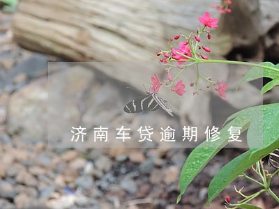 济南车贷逾期修复 济南车贷逾期修复