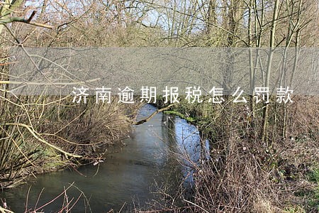 济南逾期报税怎么罚款 济南逾期报税怎么罚款