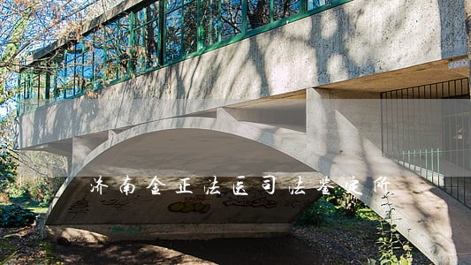 济南金正法医司法鉴定所 济南金正法医司法鉴定所