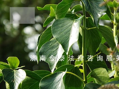 济南金泰法律咨询服务部 济南金泰法律咨询服务部