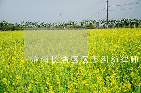 济南长清区医患纠纷律师费用 济南长清区医患纠纷律师费用